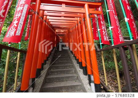 日枝神社の鳥居 57680328
