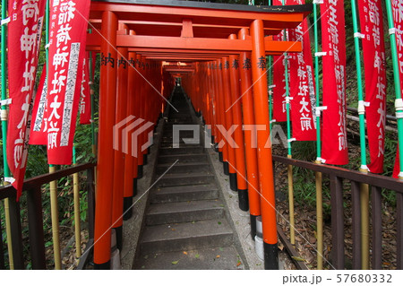 日枝神社の鳥居 57680332