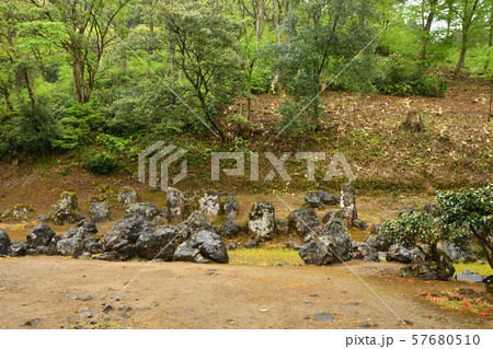 一乗谷散歩・湯殿跡庭園　朝倉義景館跡　一乗谷朝倉遺跡　 57680510