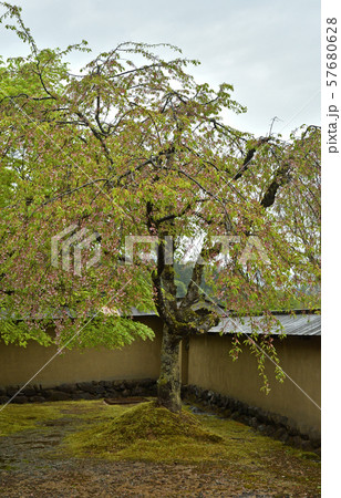 一乗谷散歩・一乗谷朝倉遺跡復元町並　武家屋敷 57680628