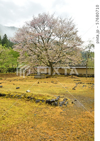 一乗谷散歩・一乗谷朝倉遺跡復元町並　武家屋敷跡 57680710