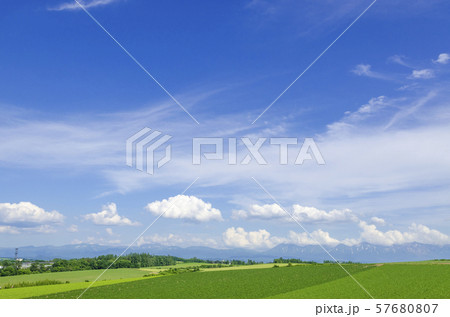北海道　美瑛　青空と穀倉地帯 57680807