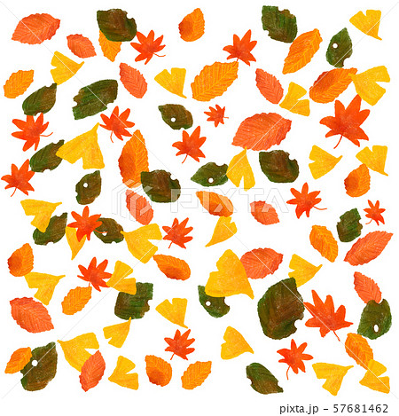 秋の落ち葉 秋の落ち葉 57681462