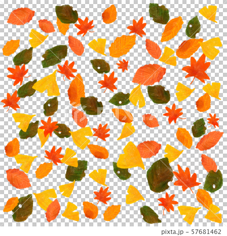 秋の落ち葉 秋の落ち葉 57681462