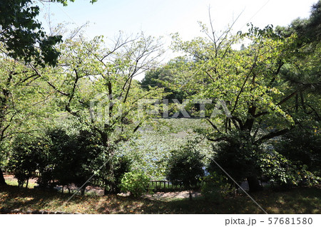 呼続公園 57681580