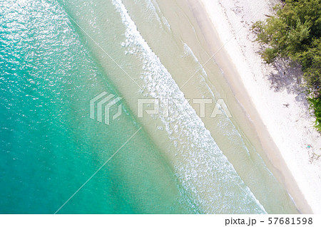 Amazing serenity tropical sea beach with tree 57681598
