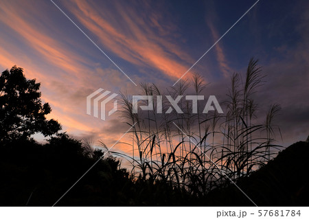 秋の夕焼け空とススキの穂 福島県只見町の写真素材