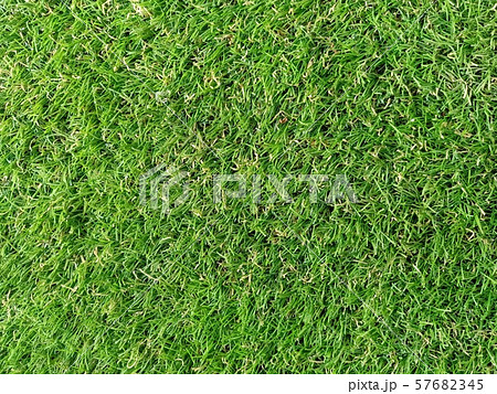 close up green grass background close up green grass background 57682345