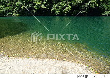 9月奥多摩町91白丸ﾀﾞﾑ湖・湖畔遊歩道 57682746