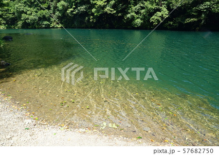 9月奥多摩町88白丸ダム湖・湖畔遊歩道 9月奥多摩町88白丸ダム湖・湖畔遊歩道 57682750