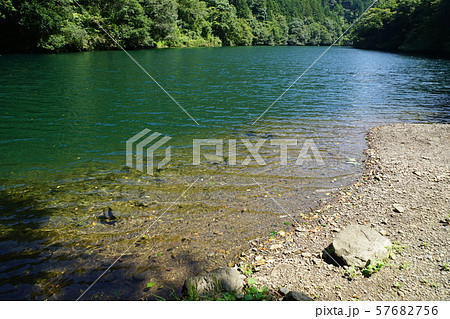 9月奥多摩町84白丸ﾀﾞﾑ湖・湖畔遊歩道 57682756