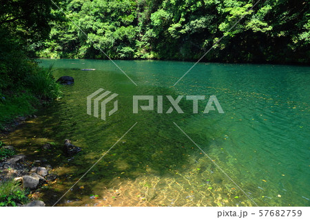 9月奥多摩町82白丸ダム湖・湖畔遊歩道 9月奥多摩町82白丸ダム湖・湖畔遊歩道 57682759