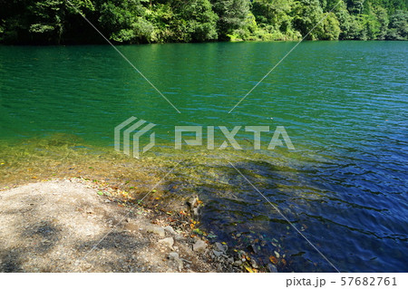 9月奥多摩町80白丸ﾀﾞﾑ湖・湖畔遊歩道 57682761