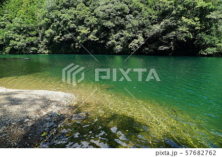 9月奥多摩町79白丸ﾀﾞﾑ湖・湖畔遊歩道 57682762