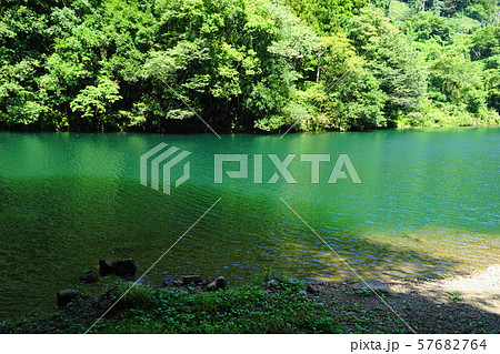 9月奥多摩町77白丸ﾀﾞﾑ湖・湖畔遊歩道 57682764