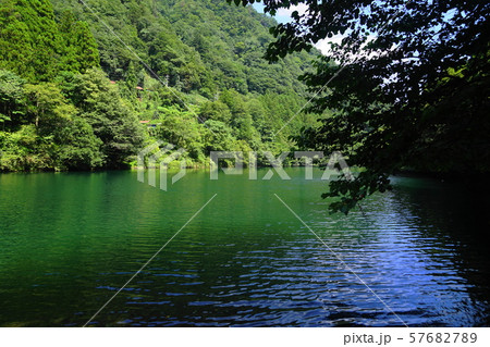 9月奥多摩町52白丸ﾀﾞﾑ湖・湖畔遊歩道 57682789