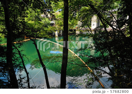 9月奥多摩町41白丸ﾀﾞﾑ湖 57682800