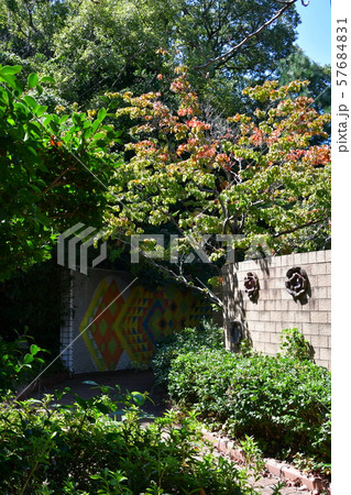 やきもの散歩道　常滑 57684831