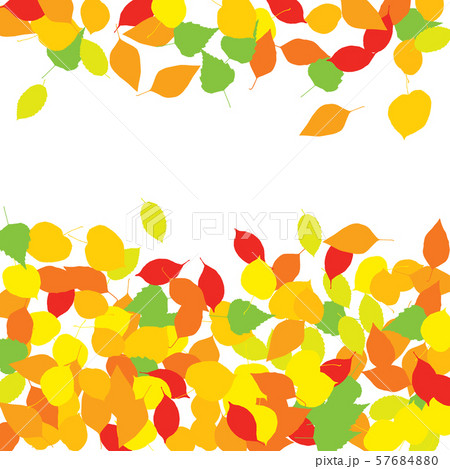 Colourful Autumn Leaves Pattern on White Colourful Autumn Leaves Pattern on White 57684880