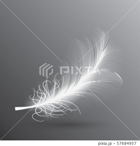 White Flying Bird Feather Isolated on Dark White Flying Bird Feather Isolated on Dark 57684957