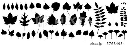 LeafSilhouetteS-01.eps 57684984