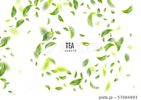 Flying Fresh Green Tea Leaves Vector Background 57684993