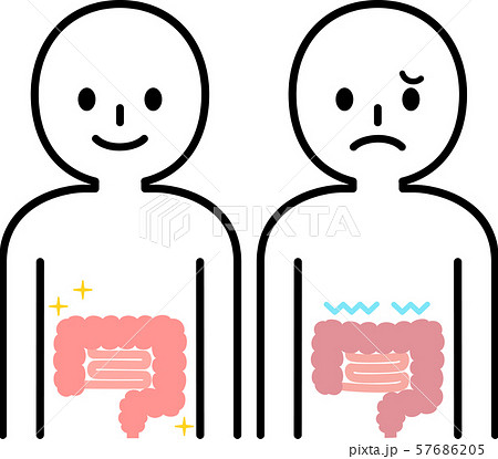 健康な腸の人物と不健康な腸の人物のイラスト素材