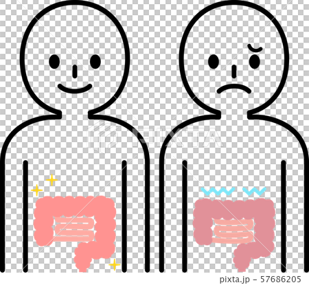 健康和不健康的腸道數字 57686205