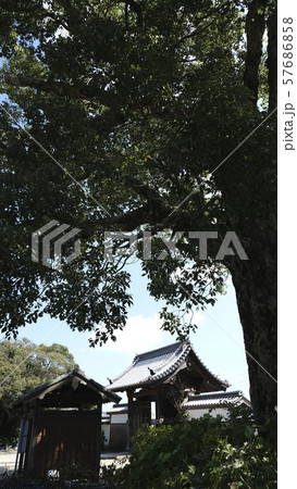 朝田の地蔵さんで親しまれる松阪市の朝田寺 朝田の地蔵さんで親しまれる松阪市の朝田寺 57686858