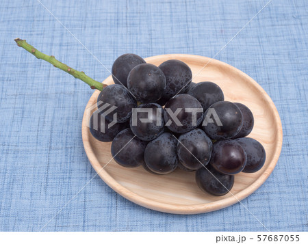 ブドウ　フジミノリ 57687055