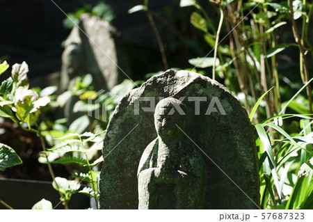鎌倉　長谷寺　Kamakura  Hasedera temple 57687323