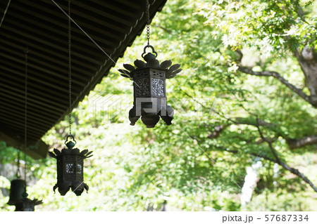 鎌倉 長谷寺 Kamakura Hasedera temple 鎌倉 長谷寺 Kamakura Hasedera temple 57687334