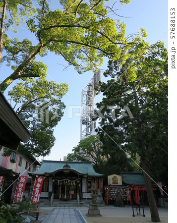甲子園球場脇に佇み球児が祈願に来る素戔嗚神社 57688153