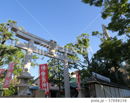 甲子園球場脇に佇み球児が祈願に来る素戔嗚神社 57688156