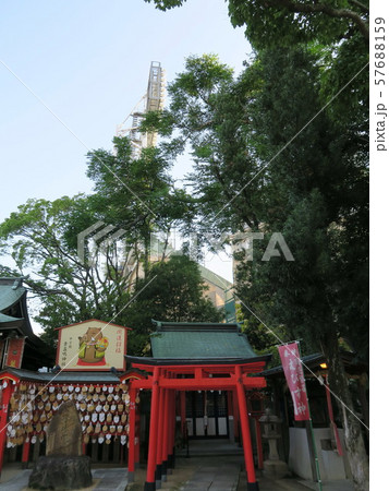 甲子園球場脇に佇み球児が祈願に来る素戔嗚神社 甲子園球場脇に佇み球児が祈願に来る素戔嗚神社 57688159