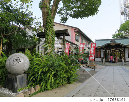 甲子園球場脇に佇み球児が祈願に来る素戔嗚神社 57688161