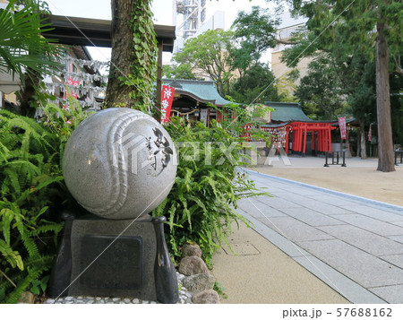 甲子園球場脇に佇み球児が祈願に来る素戔嗚神社 57688162