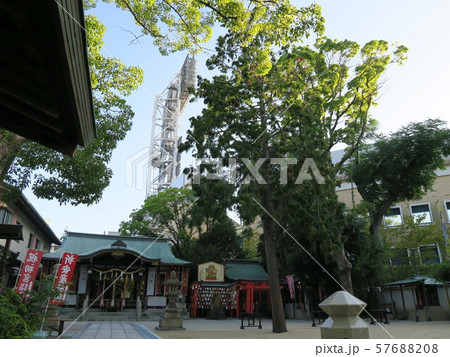 甲子園球場脇に佇み球児が祈願に来る素戔嗚神社 57688208