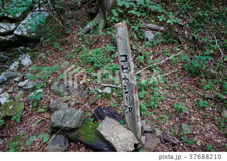 本州最東端の地とどヶ﨑灯台への道 57688210