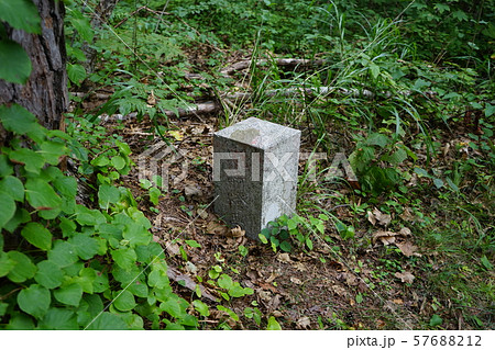 本州最東端の地とどヶ﨑灯台への道 本州最東端の地とどヶ﨑灯台への道 57688212