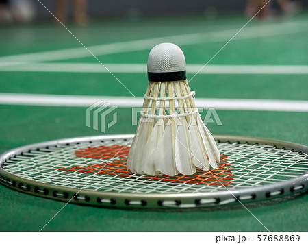 White badminton shuttlecock and racquet on a green court. 57688869
