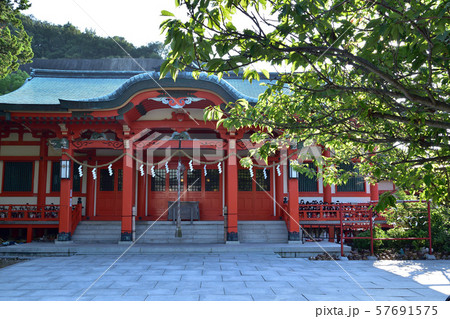 和歌山加太の淡嶋神社本殿 和歌山加太の淡嶋神社本殿 57691575