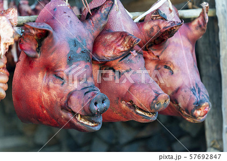 Pig heads, Khonoma Village, Nagaland, India 57692847