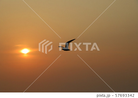 夕焼けの空 夕焼けの空 57693342