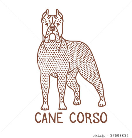 Isolated Cane Corso in Hand Drawn Doodle Style Isolated Cane Corso in Hand Drawn Doodle Style 57693352