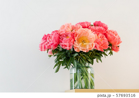 Coral peonies in a glass vase on wooden table.. Beautiful peony flower for catalog or online store 57693516