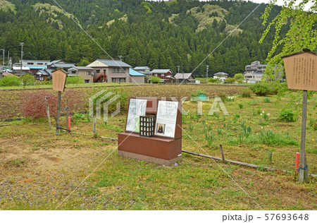 一乗谷散歩・富田勢源道場跡 57693648