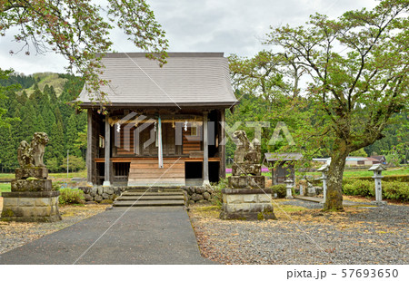 一乗谷散歩・神明神社 57693650