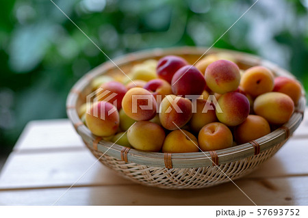 梅ジュース作り 57693752