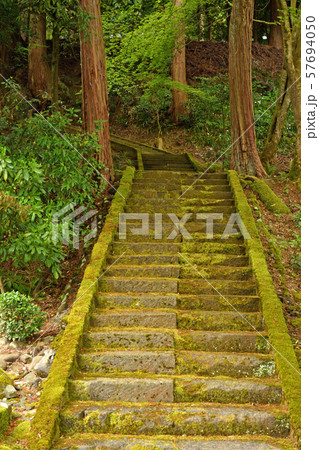 一乗谷散歩・春日神社 一乗谷散歩・春日神社 57694050